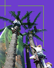 Load image into Gallery viewer, Coconut Climbing
