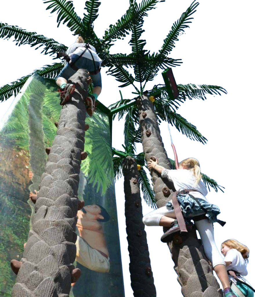 Coconut Climbing