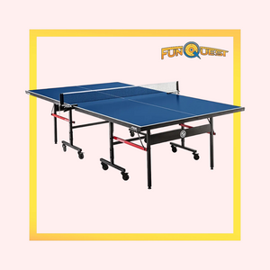 Ping Pong (Table Tennis)
